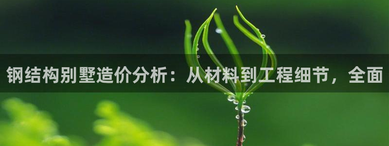 狗子28垫付金额